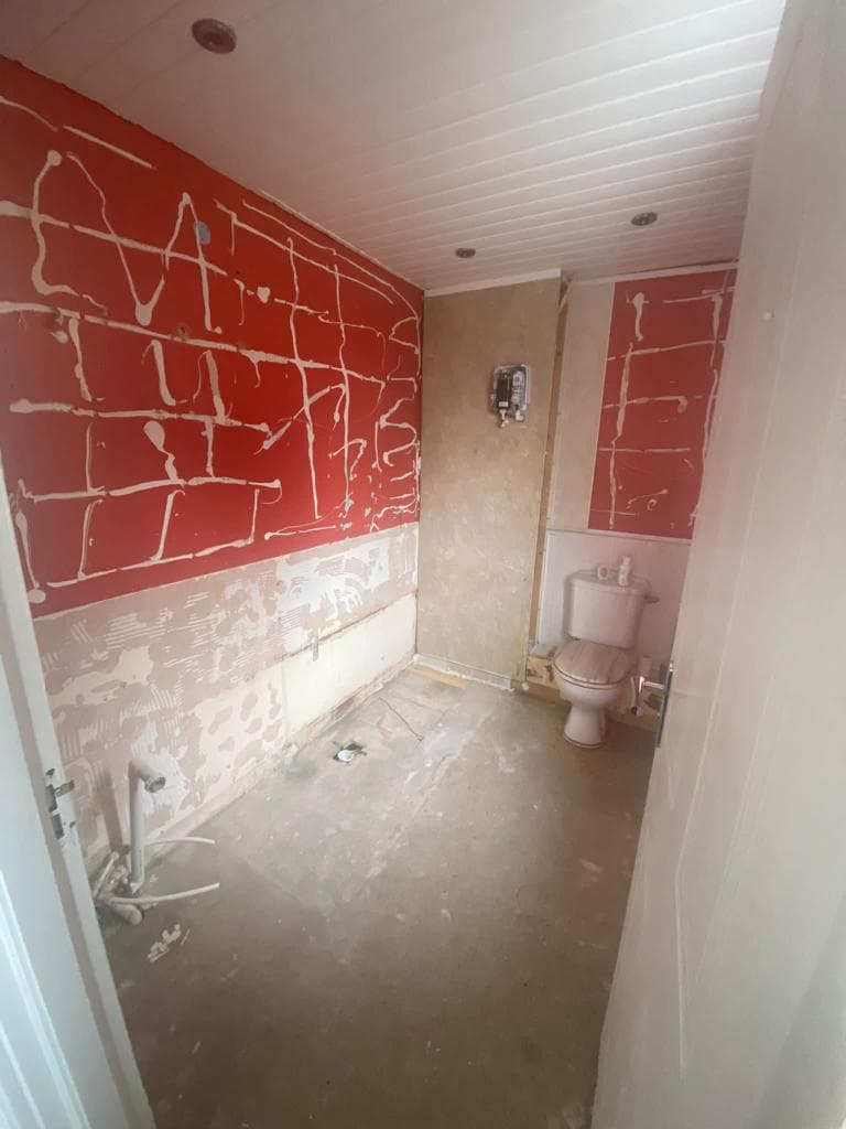 Bathroom Strip-Out, Second Angle